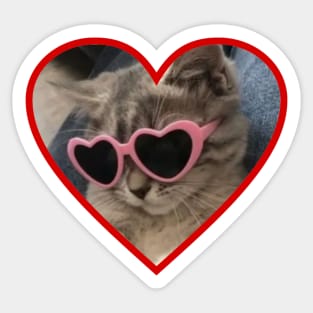 cat wearing pink heart sunglasses Sticker